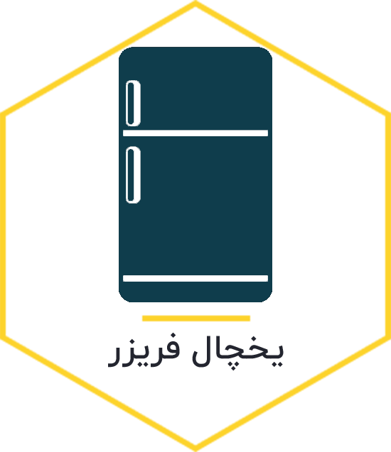 تعمیرکار ایرانی